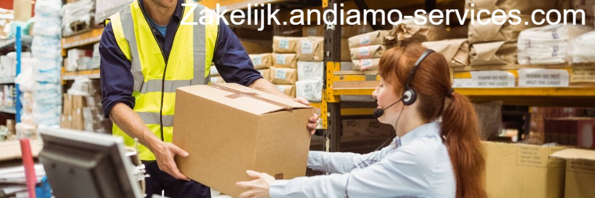 zakelijk.andiamo-services.com